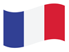 French Flag